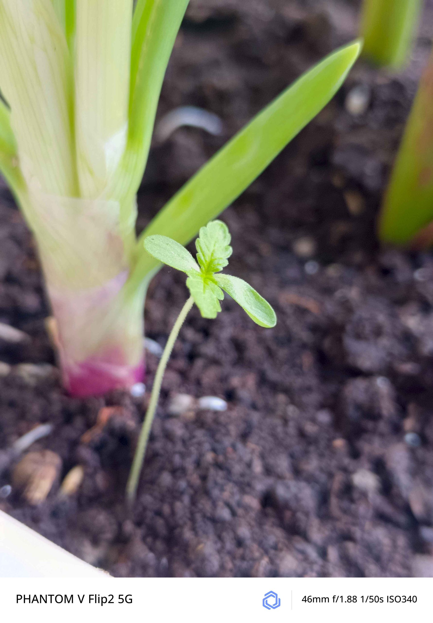 IMG_20250103_141233_042_5_11zon