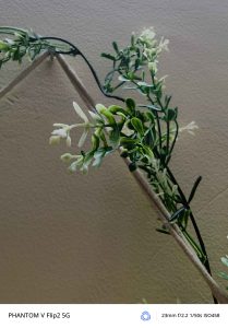 IMG_20250103_141349_106_6_11zon