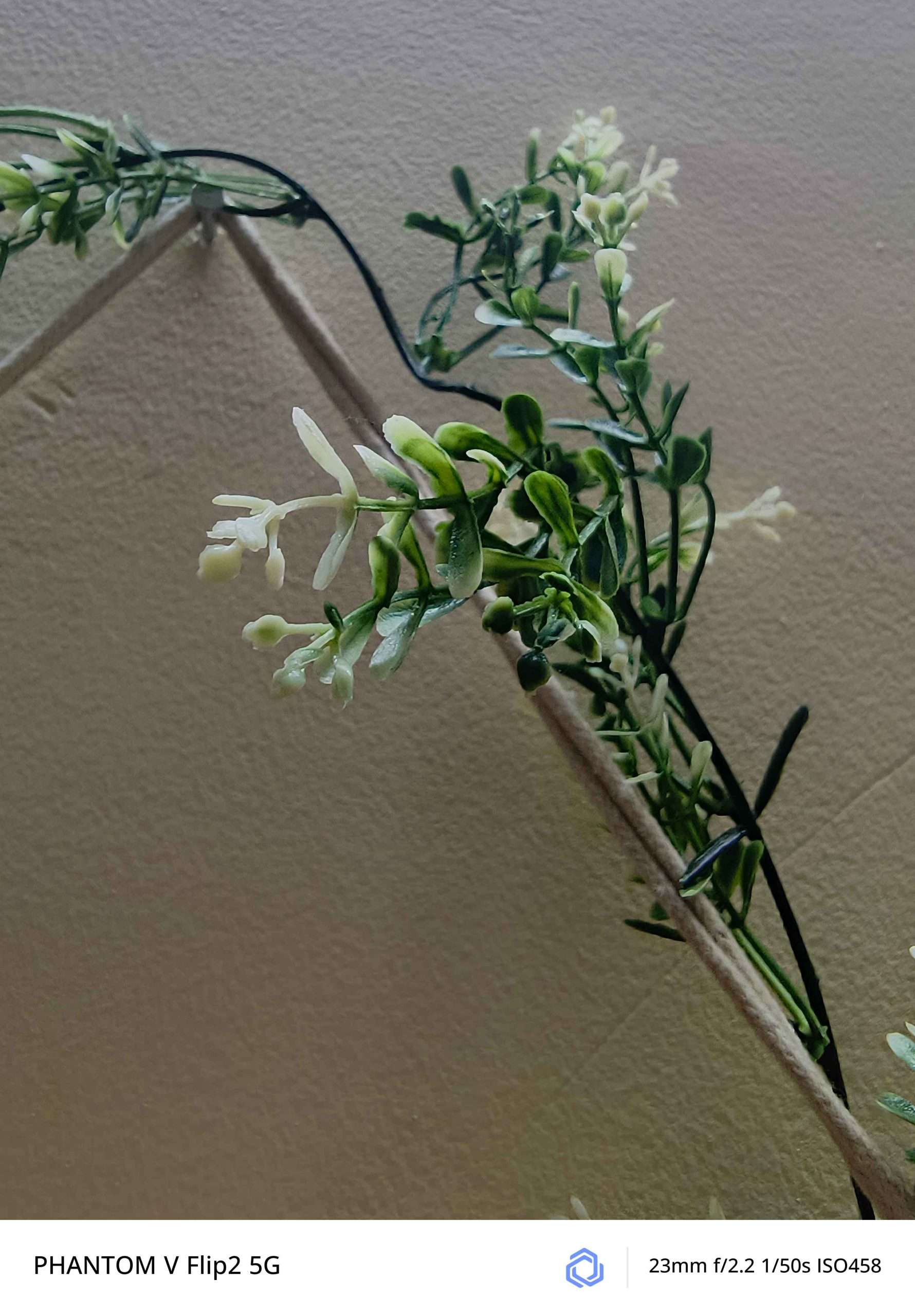 IMG_20250103_141349_106_6_11zon