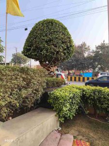 IMG_20250105_155355_15_11zon