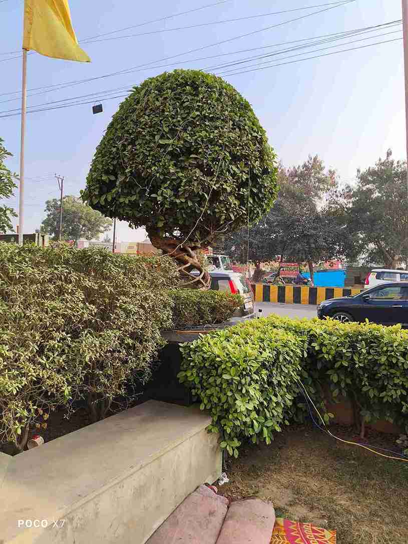 IMG_20250105_155355_15_11zon