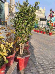 IMG_20250105_155513_1_11zon