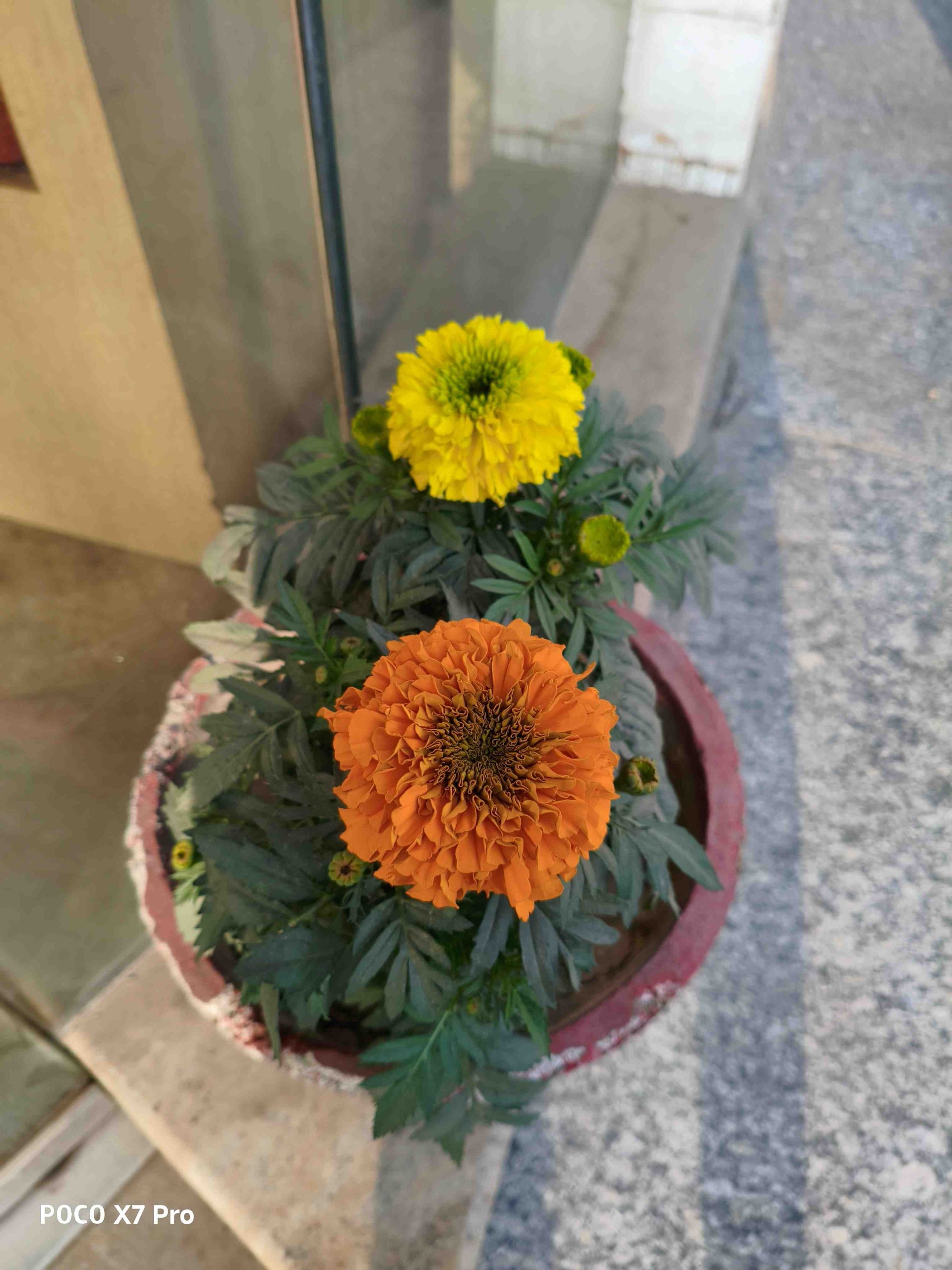 IMG_20250105_155643_14_11zon