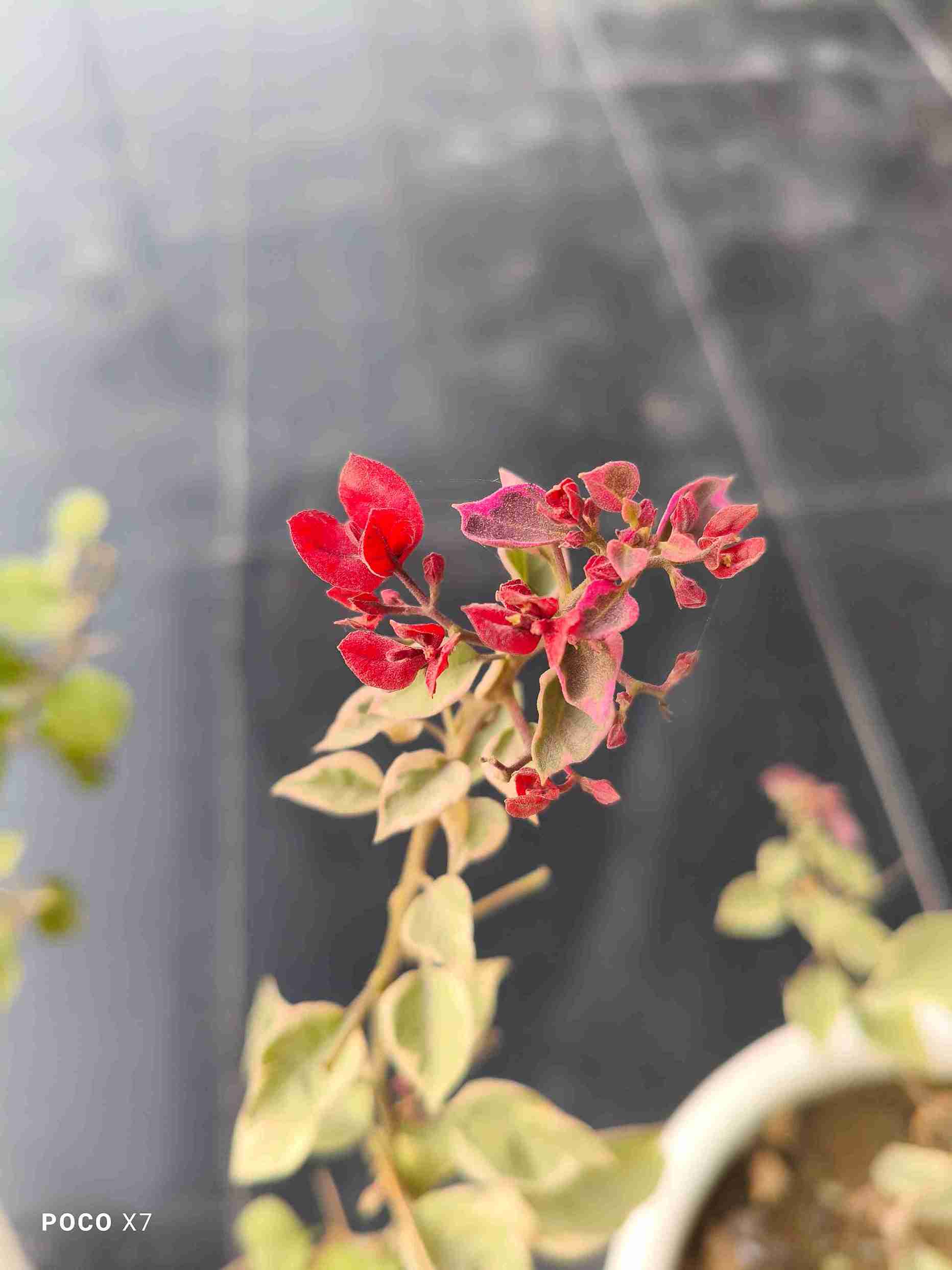 IMG_20250105_161834_4_11zon