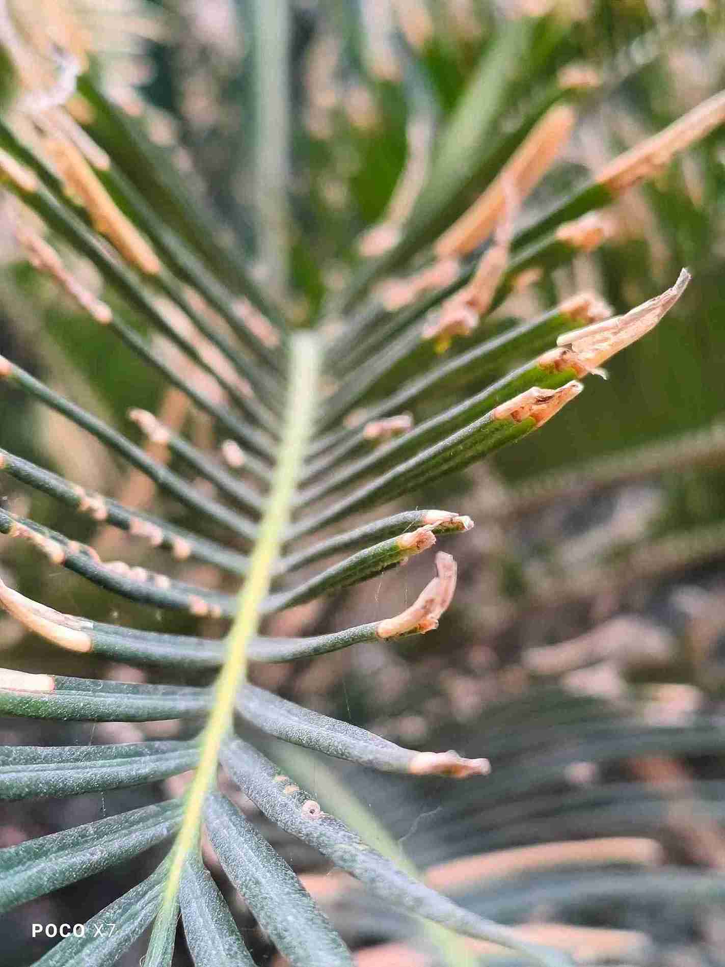 IMG_20250105_170130_6_11zon