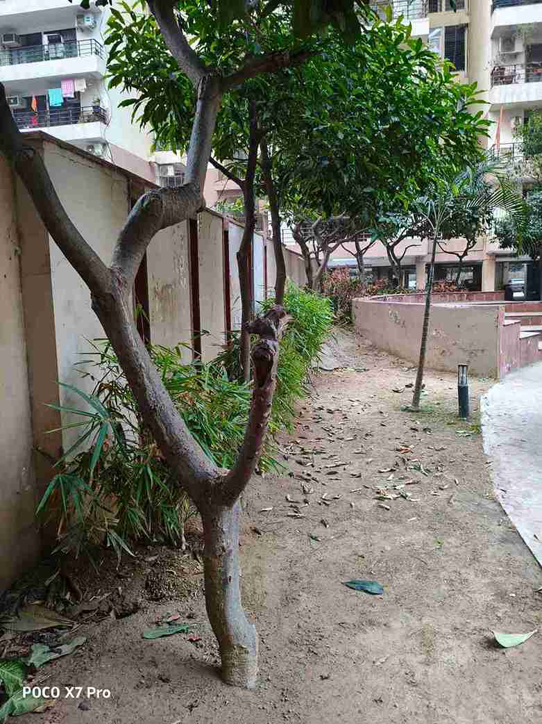 IMG_20250105_170357_24_11zon