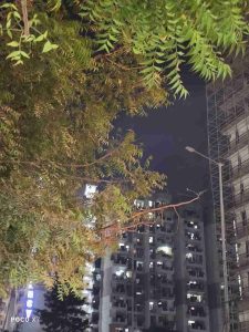 IMG_20250108_184053_10_11zon