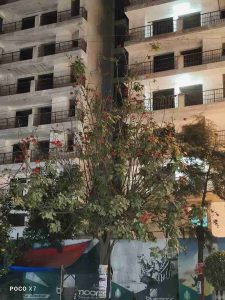 IMG_20250108_184321_13_11zon