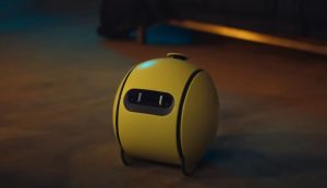 WhatsApp Image 2025-01-07 at 11.59.49 AM (1)