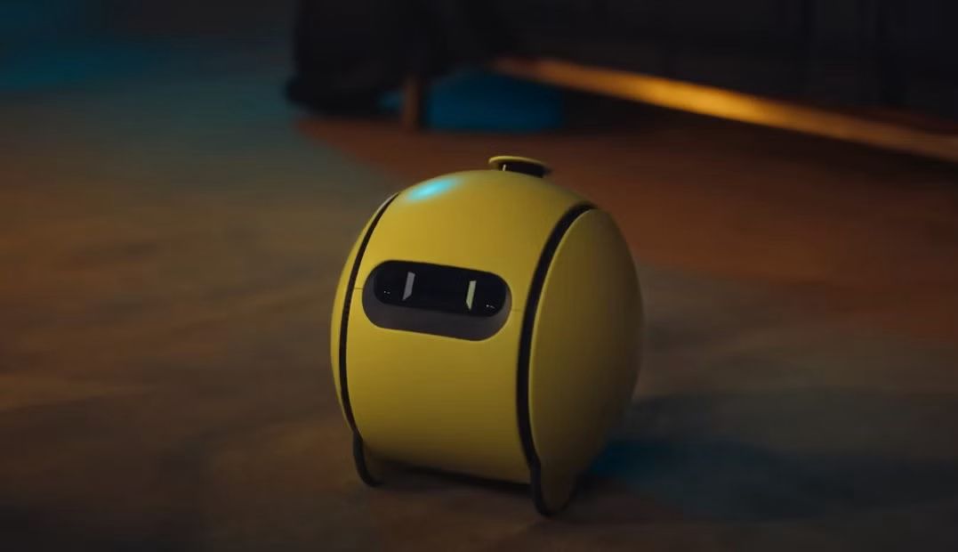 WhatsApp Image 2025-01-07 at 11.59.49 AM (1)