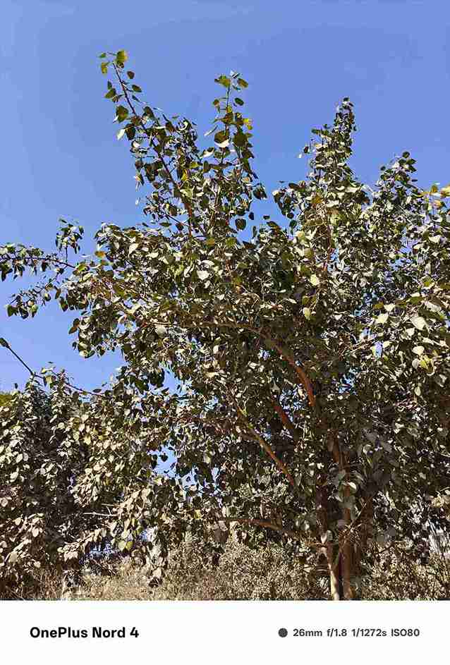 IMG20250208143533_7_11zon