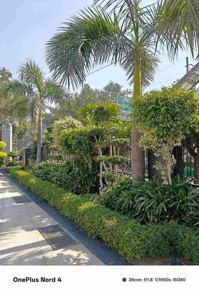 IMG20250209125554_4_11zon