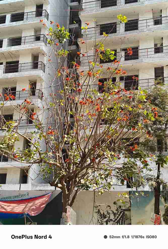 IMG20250209140733_6_11zon