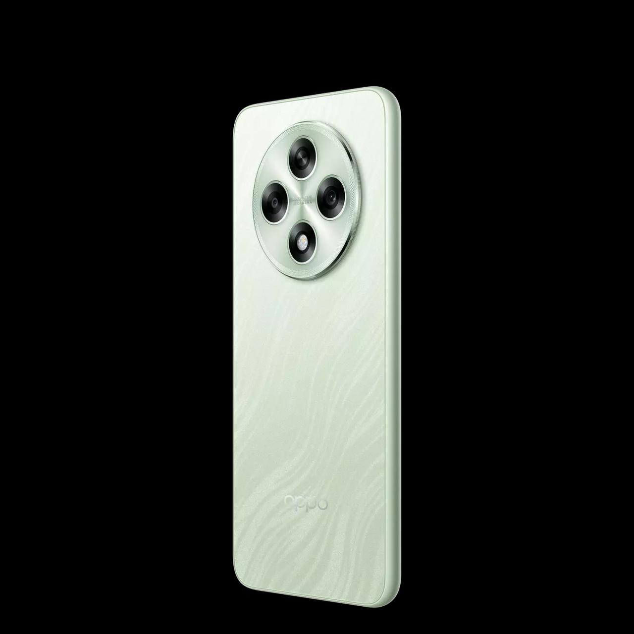 WhatsApp Image 2025-02-16 at 7.30.03 AM (1)