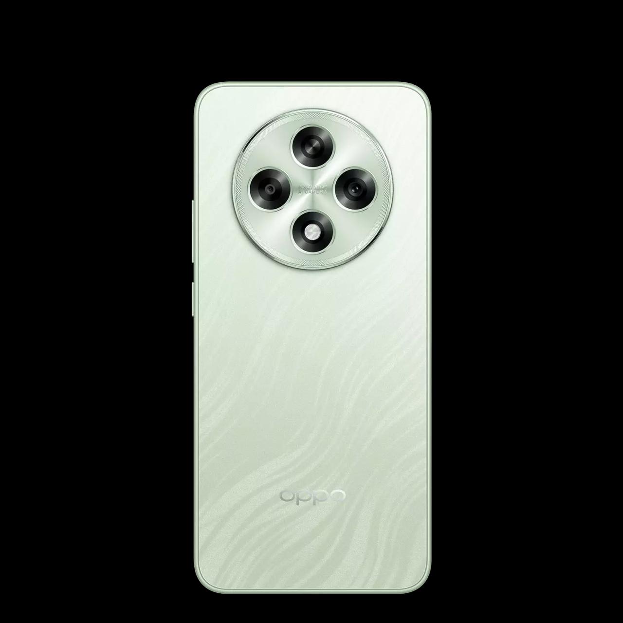 WhatsApp Image 2025-02-16 at 7.30.04 AM (1)