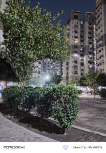 IMG_20250323_181142_342