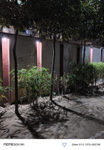 IMG_20250323_181307_684