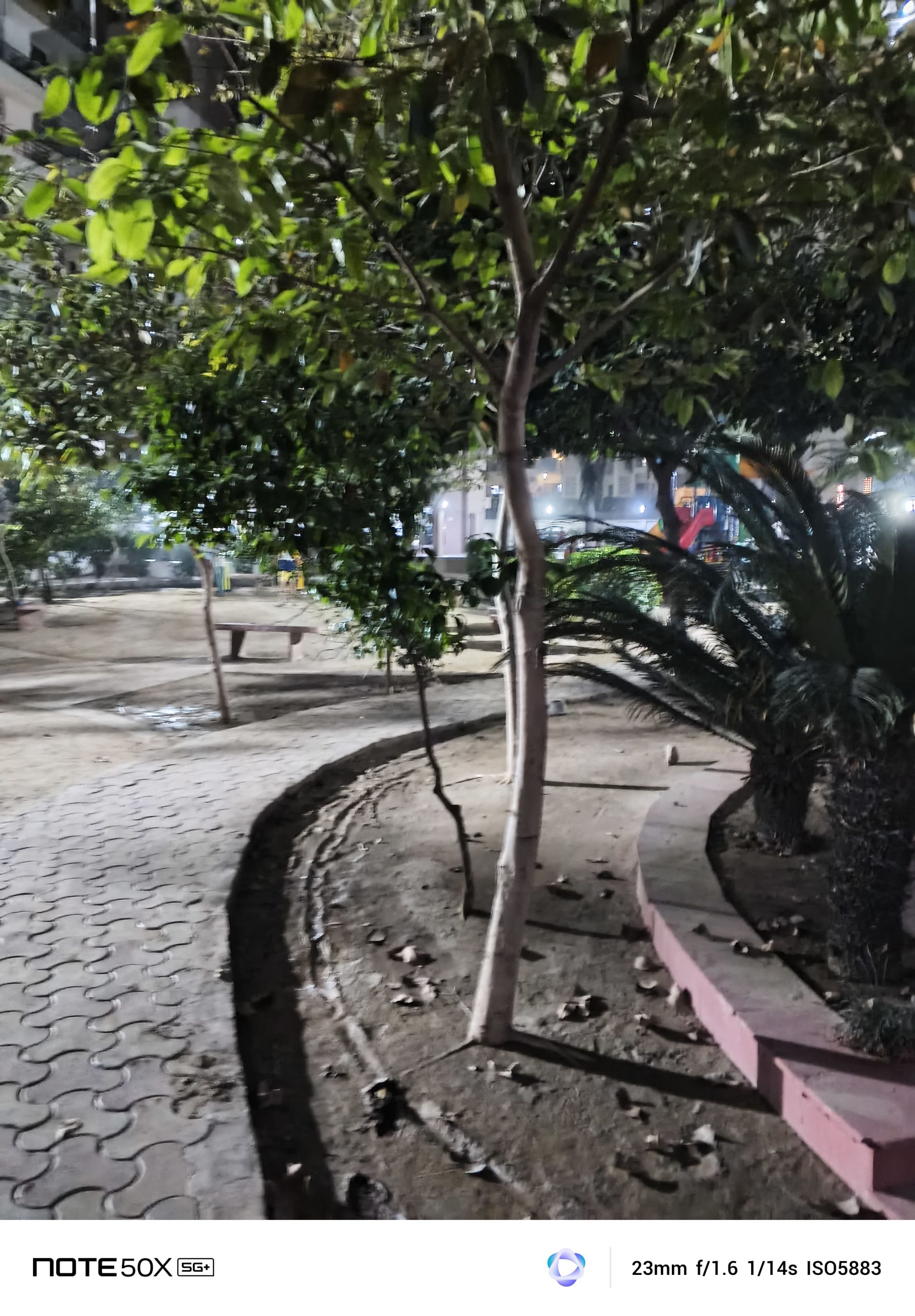 IMG_20250323_181334_680