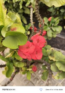 IMG_20250327_114941_706