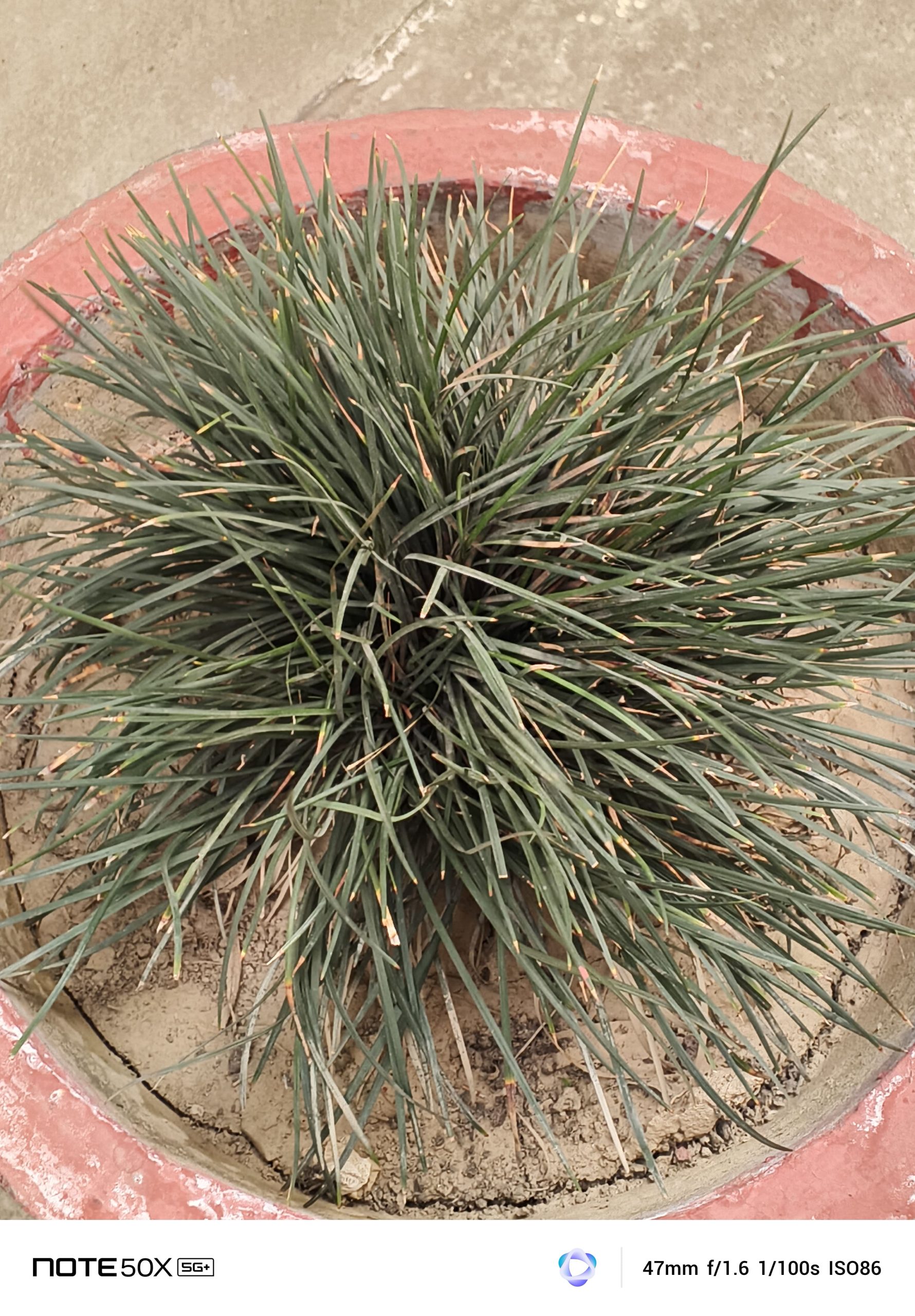 IMG_20250327_115045_174