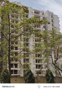 IMG_20250327_115250_265