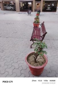 IMG_20250403_183349-min