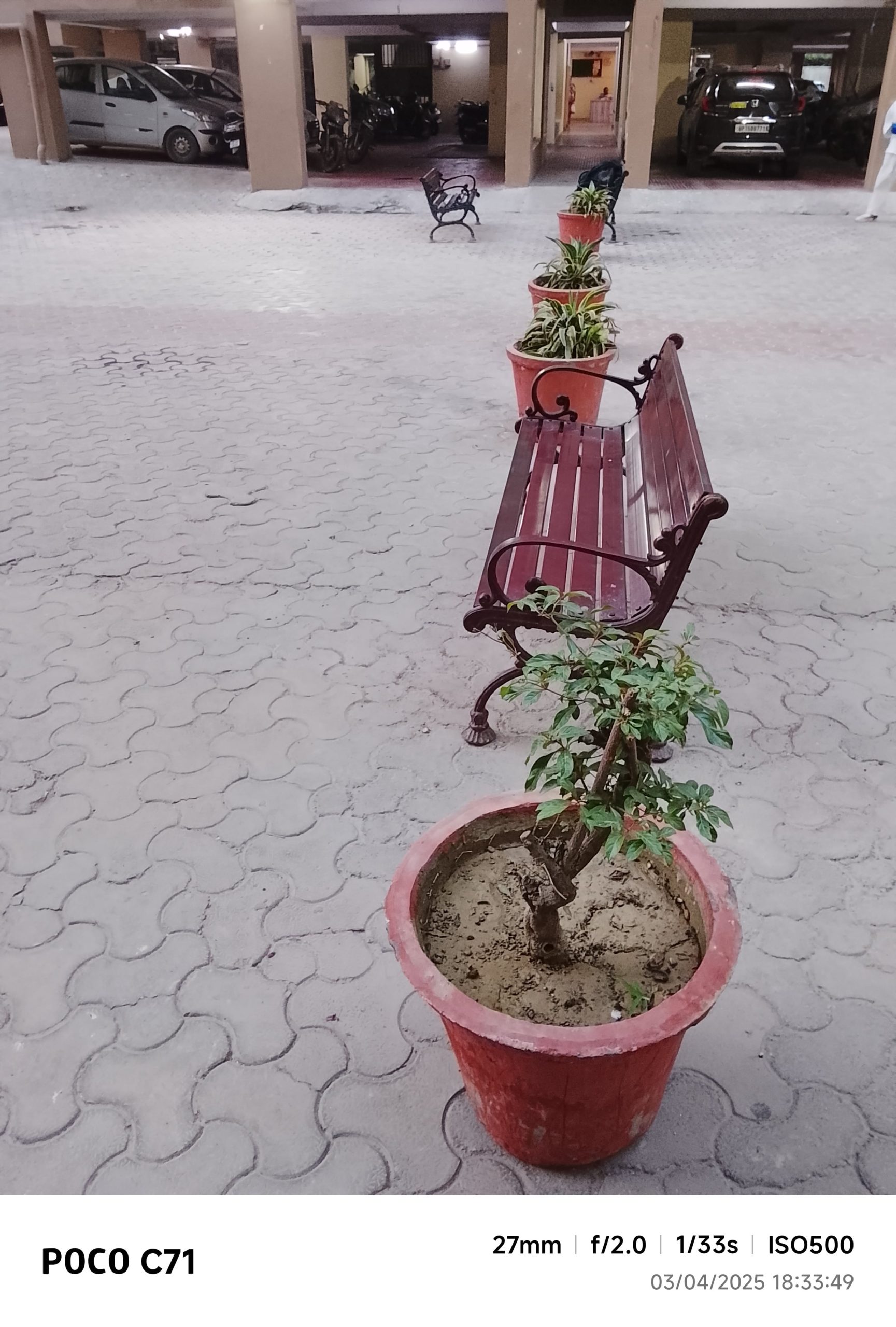 IMG_20250403_183349-min