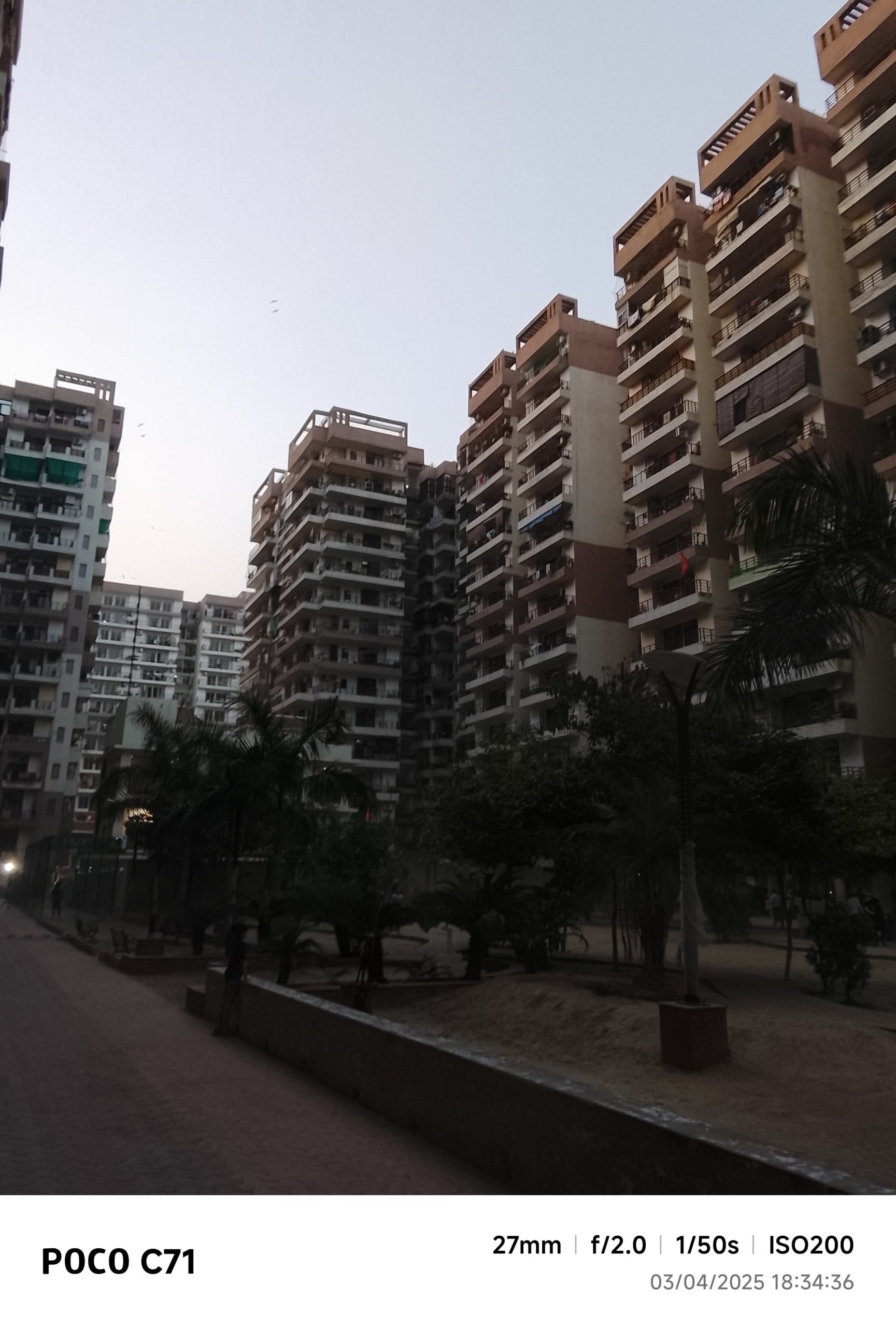 IMG_20250403_183436-min