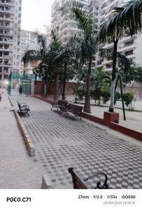 IMG_20250403_183531-min