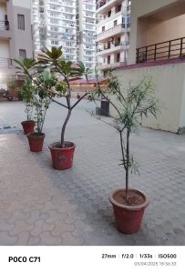 IMG_20250403_183633-min