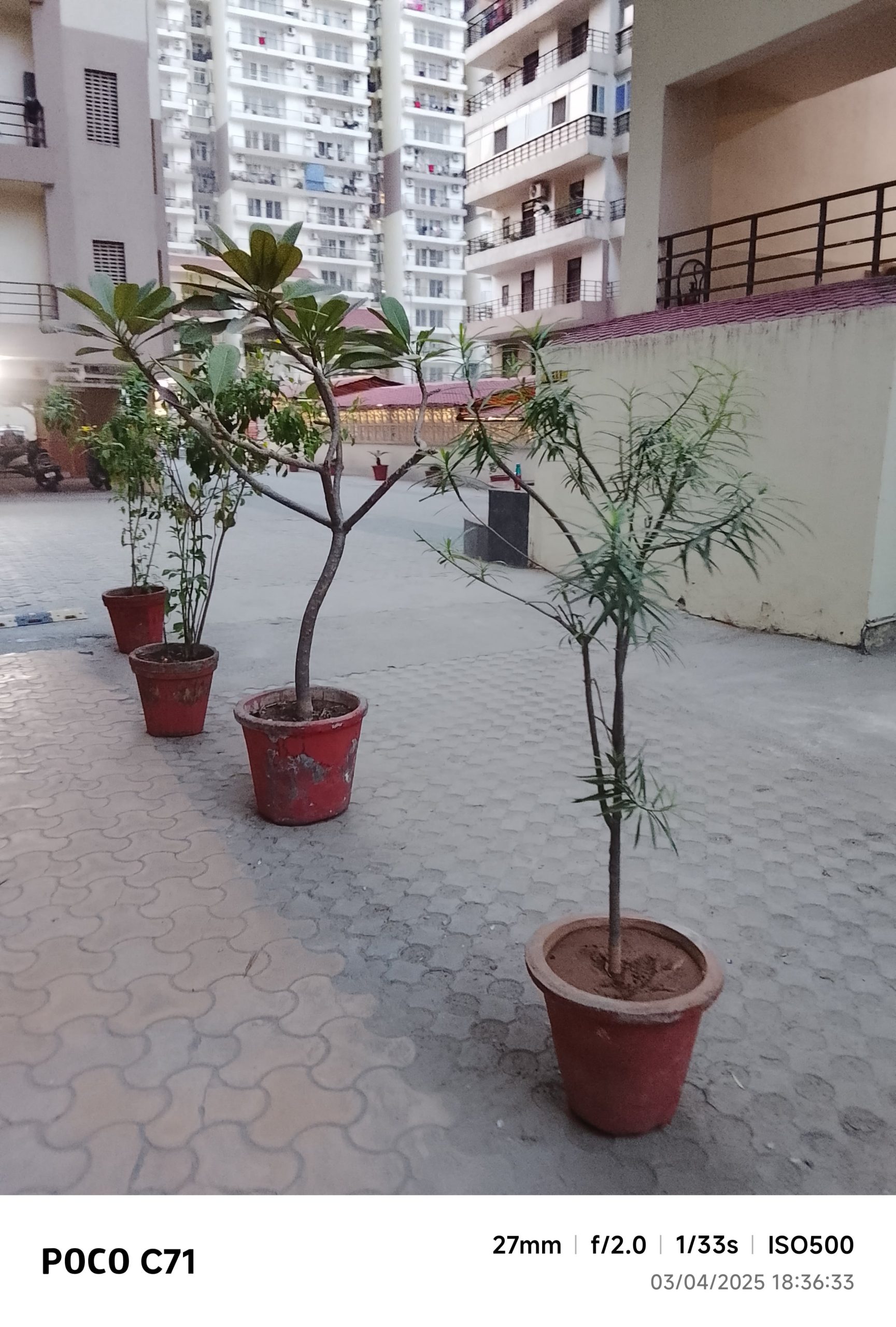 IMG_20250403_183633-min