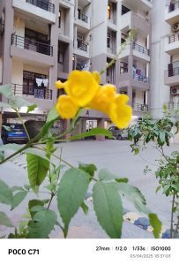 IMG_20250403_183703-min