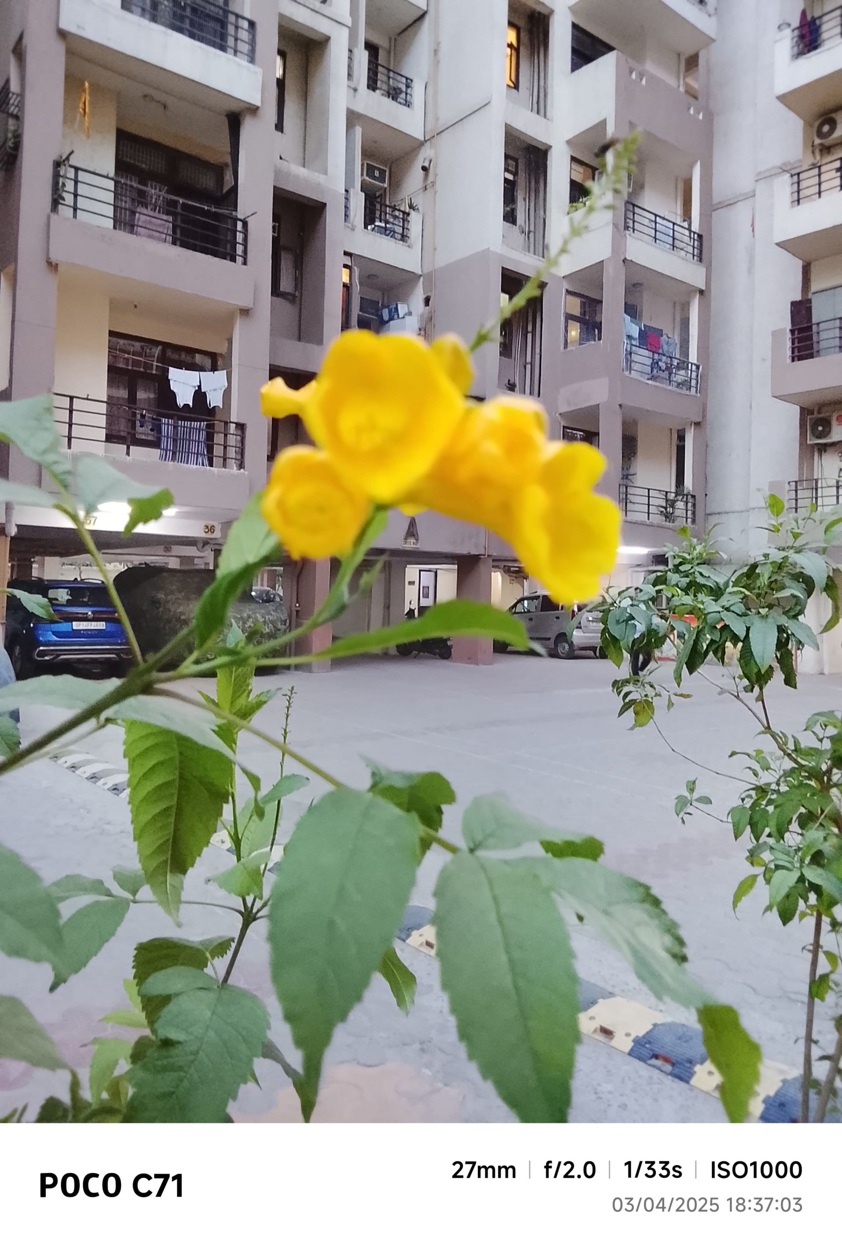 IMG_20250403_183703-min