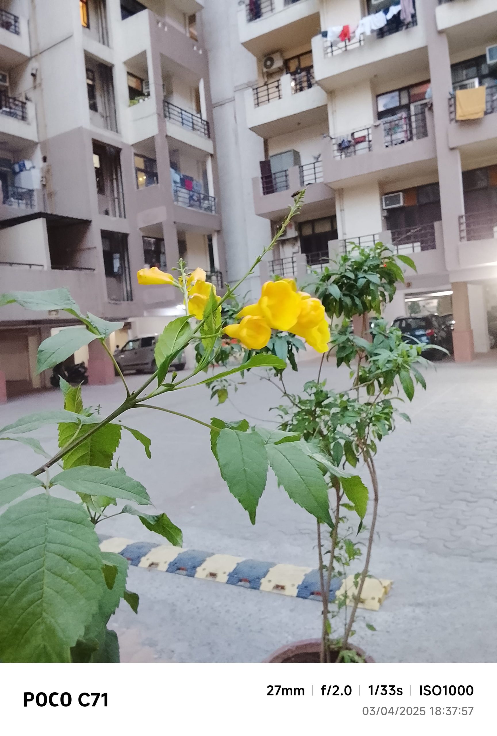 IMG_20250403_183757-min