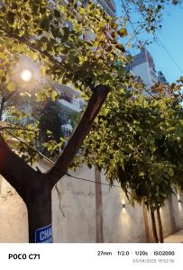 IMG_20250403_185236-min