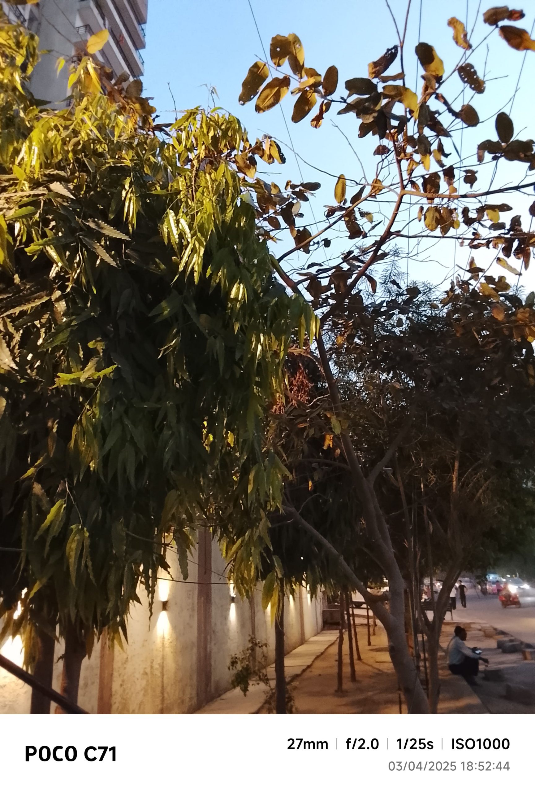 IMG_20250403_185244-min