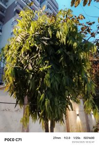 IMG_20250403_185247-min