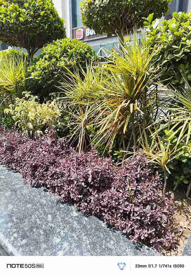 IMG_20250427_133510_418_2_11zon