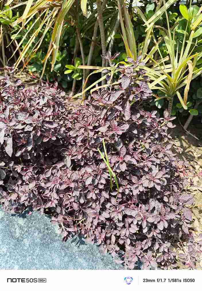 IMG_20250427_133514_435_3_11zon