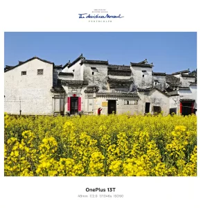 OnePlus-13T-camera-samples-3-1920x1988