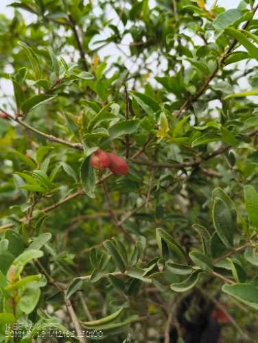 IMG_20250622_145541475