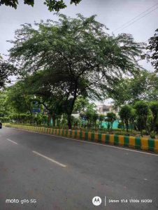 IMG_20250706_142831202_HDR