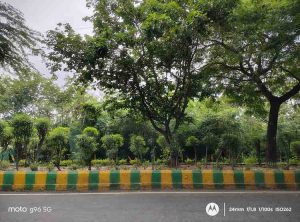 IMG_20250706_142850120_HDR