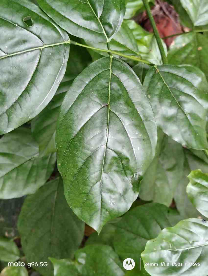 IMG_20250706_143001373_HDR