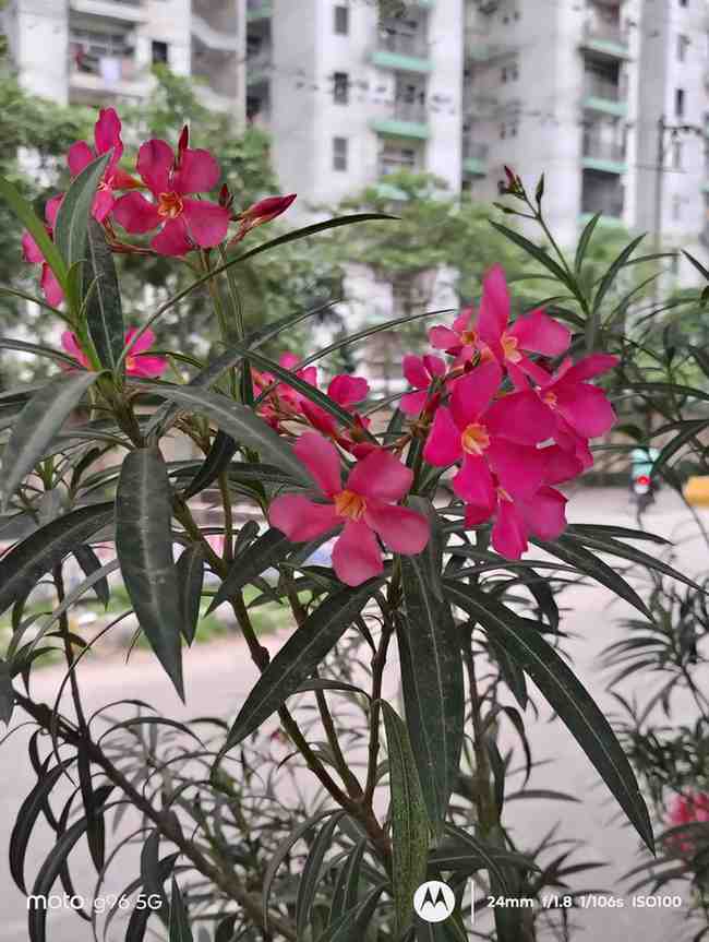 IMG_20250706_151258754_HDR