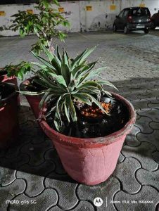 IMG_20250710_201404638_HDR