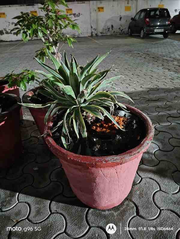 IMG_20250710_201404638_HDR