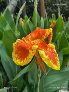 IMG_20250730_155615609_HDR