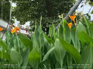 IMG_20250730_155712437_HDR