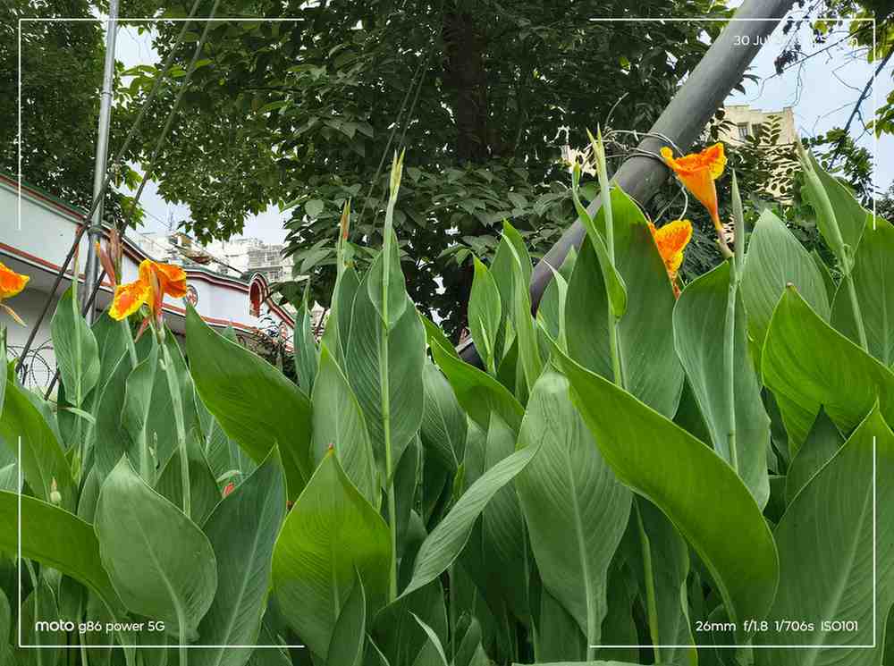 IMG_20250730_155712437_HDR